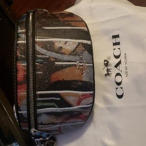 Coach X Mint + Serf Bethany Belt bag from boutique